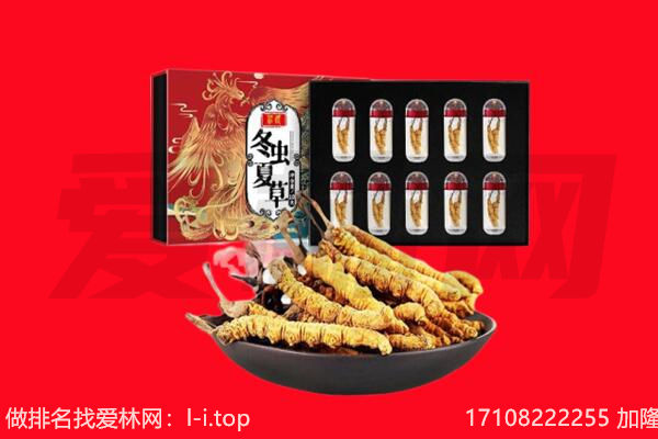 昂仁县回收虫草.jpg